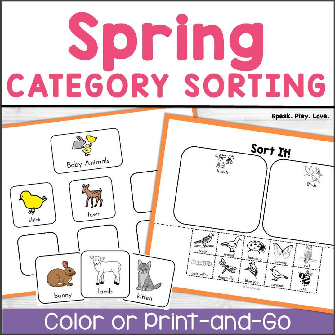 Printable Spring Category Sorting Activity, Speech Therapy, Special ...
