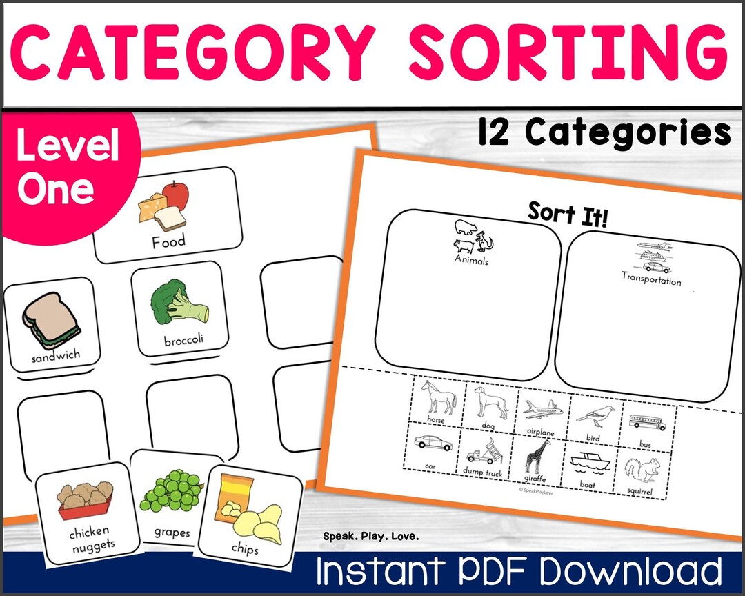 Category Sorting Activity Printable Preschool Printables - Etsy