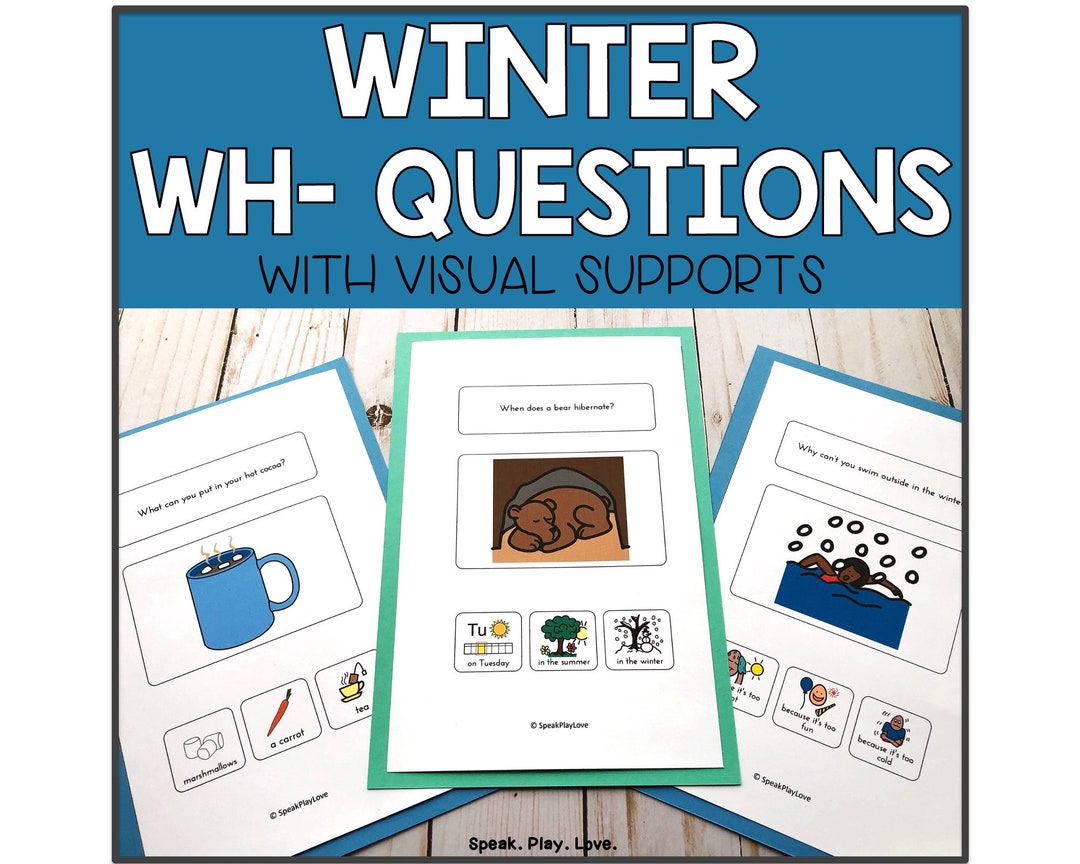 Winter Autism Activity: Printable WH Questions Task Cards, Speech ...