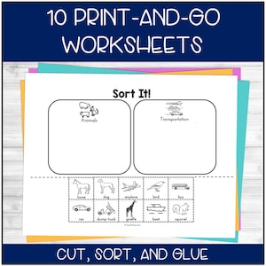 Category Sorting Activity, Printable, Preschool Printables, Speech Therapy, ABA Therapy, Special Education, Autism Activity, Categories Sort image 4