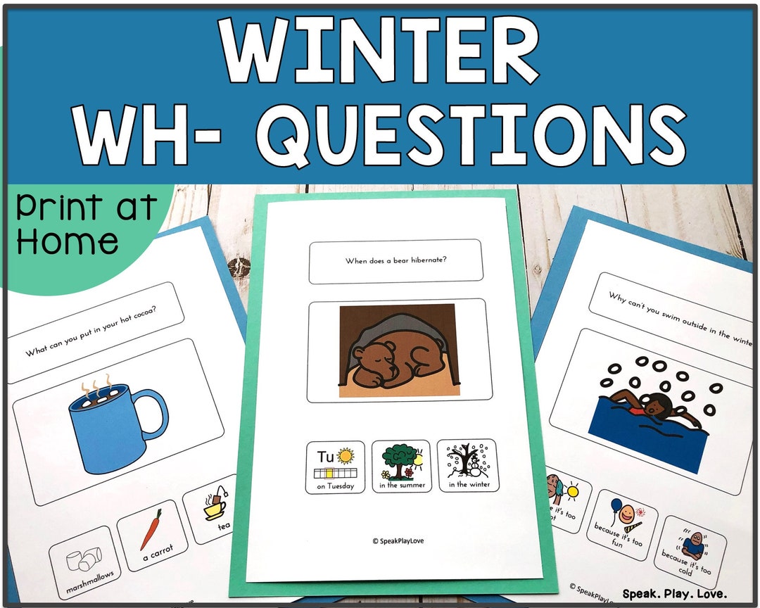 Winter Autism Activity: Printable WH Questions Task (Instant Download ...