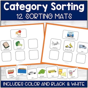 Category Sorting Activity, Printable, Preschool Printables, Speech Therapy, ABA Therapy, Special Education, Autism Activity, Categories Sort image 2