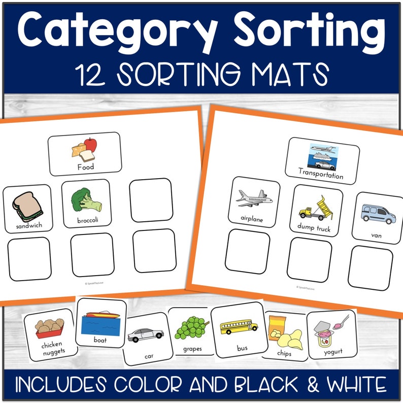 Category Sorting Activity, Printable, Preschool Printables, Speech Therapy, ABA Therapy, Special Education, Autism Activity, Categories Sort image 2