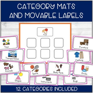 Category Sorting Activity, Printable, Preschool Printables, Speech Therapy, ABA Therapy, Special Education, Autism Activity, Categories Sort image 3