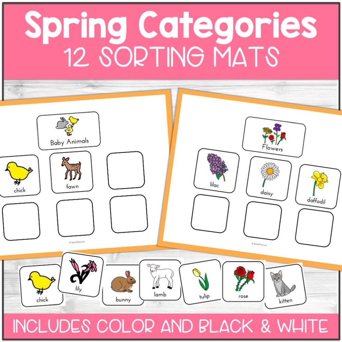 Spring Sorting Activities Printable Spring Category Sorting Activity, Speech Therapy, Special ...