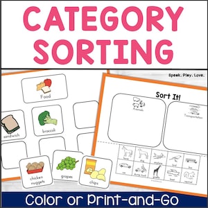 Category Sorting Activity, Printable, Preschool Printables, Speech Therapy, ABA Therapy, Special Education, Autism Activity, Categories Sort