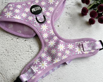 Dog Harness | Flower Power Dog Harness | Neoprene Dog Harness | Daisy Dog Harness | Colourful Dog Harness | Dog Harness Bundle Set