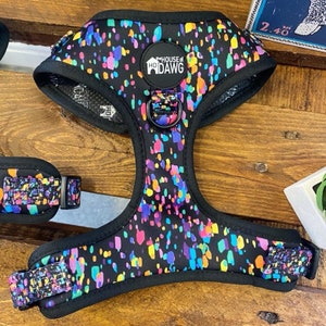 May include: A black dog harness with a colorful confetti pattern. The harness has a black adjustable strap and a metal D-ring. The harness has a logo that says "The House of Dawg".