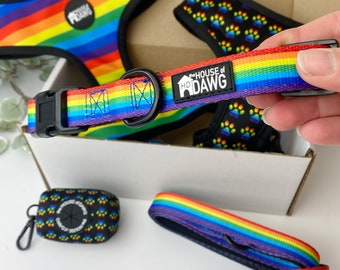 Dog Collar | Rainbow Dog Collar | Pride Dog Collar | LGBTQ Dog Collar | Bright dog Collar | Designer Dog Collar