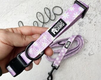 Dog Collar | Flower Power Dog Collar | Daisy Dog Collar | Floral Dog Collar | Designer Dog Collar