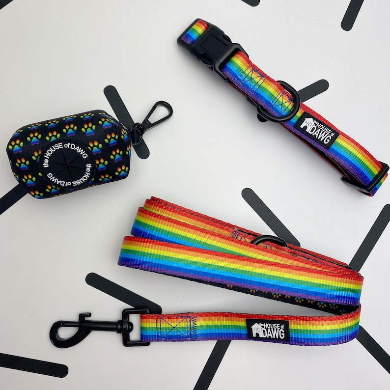 May include: A rainbow dog leash and collar set with black hardware. The leash and collar are both made of durable nylon and feature a rainbow pattern with the text "The House of Dawg" printed on them.