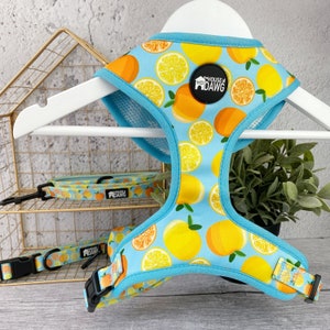 Dog Harness | Juicy Dog Harness | Neoprene Dog Harness | Fruity Dog Harness | Dog Harness Bundle Set