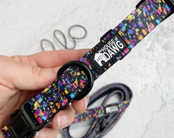 Dog Collar | Sanctuary Dog Collar | Bright Dog Collar | Rainbow Sprinkles Dog Collar | Designer Dog Collar