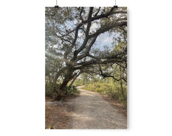 Beyond the tree Print