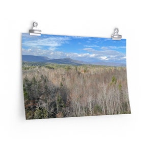 Tree Skyline Print