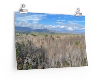 Tree Skyline Print