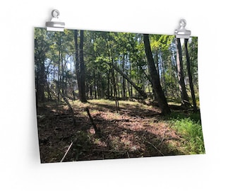 Into the woods Print