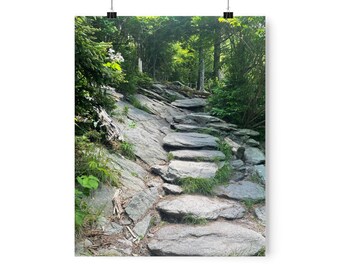 Up the trail Print