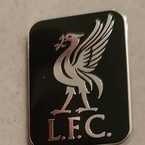 **Liverbird** - Multiplex Cabochon Anstecknadel