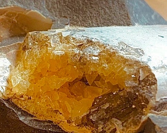 Crystallized Baculite Fossil in Limestone Matrix