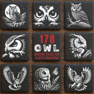 May include: Nine black slate coasters with white owl illustrations. The coasters feature various owl designs, including a full moon scene, close-ups of owl faces, and owls with outstretched wings. One coaster has the text "178 OWL DIGITAL FILES FOR SLATE COASTERS."