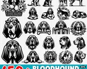 150+ Bloodhound dog svg bundle | floppy ears hound cut files | cricut svg dxf png pdf | silhouette designs | pet lover art | commercial use