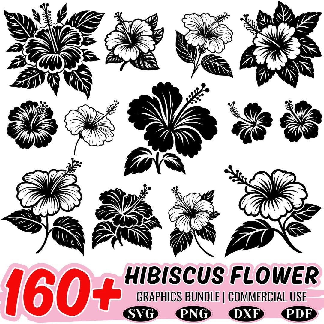 160+ Hibiscus Flower SVG Bundle: Tropical Floral Clipart, Bloom Line ...