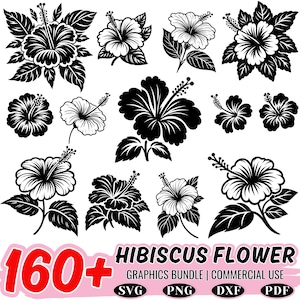 160+ Hibiscus flower svg bundle | tropical floral cut files | cricut dxf png pdf | botanical hibiscus clipart | exotic flower design
