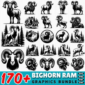 Op de afbeelding: Een verzameling zwart-wit afbeeldingen van bighorn rams. De afbeeldingen tonen verschillende poses van rammen, sommige met berg- en bosachtergronden. De tekst "170+ BIGHORN RAM GRAPHICS BUNDLE" wordt onderaan weergegeven.
