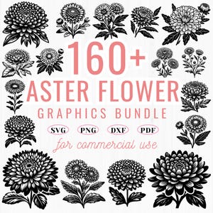 160+ Aster Flower SVG | DXF Bundle | Floral Clipart | Cricut Cut Files | Instant Download | Commercial Use