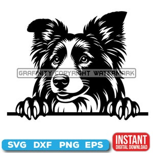 Peeking Dogs SVG, BORDER COLLIE Peeking Paws, Cute Dog Breed, K-9 Animal, Pet Puppy Canine , Digital download