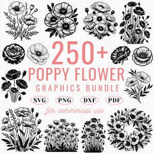 250+ Poppy flower svg bundle | floral line art cut files | cricut dxf png pdf | botanical poppy clipart | nature flower design