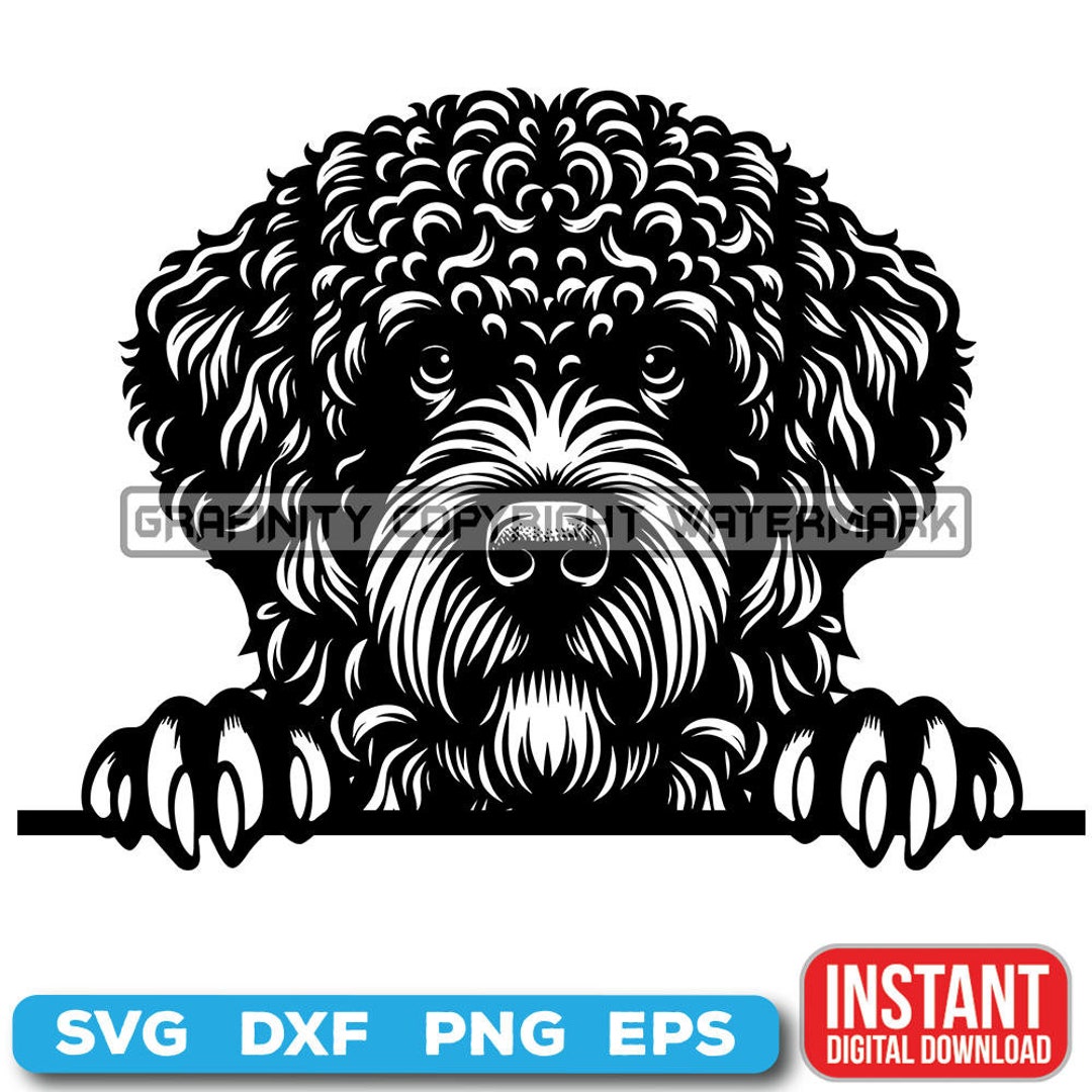 Peeking Dogs SVG, SPANISH WATER Peeking Paws, Cute Dog Breed, K-9