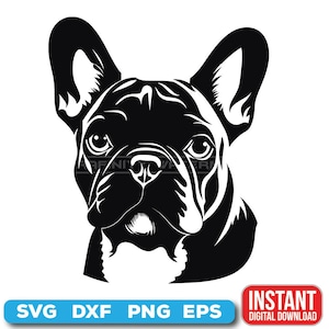French Bulldog SVG - 06 French bulldog head cute vector art for cricut and cut files -  digital download