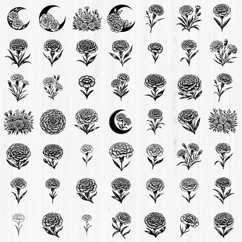150+ Carnation Flower SVG Bundle: Floral Clipart, Botanical Line Art ...