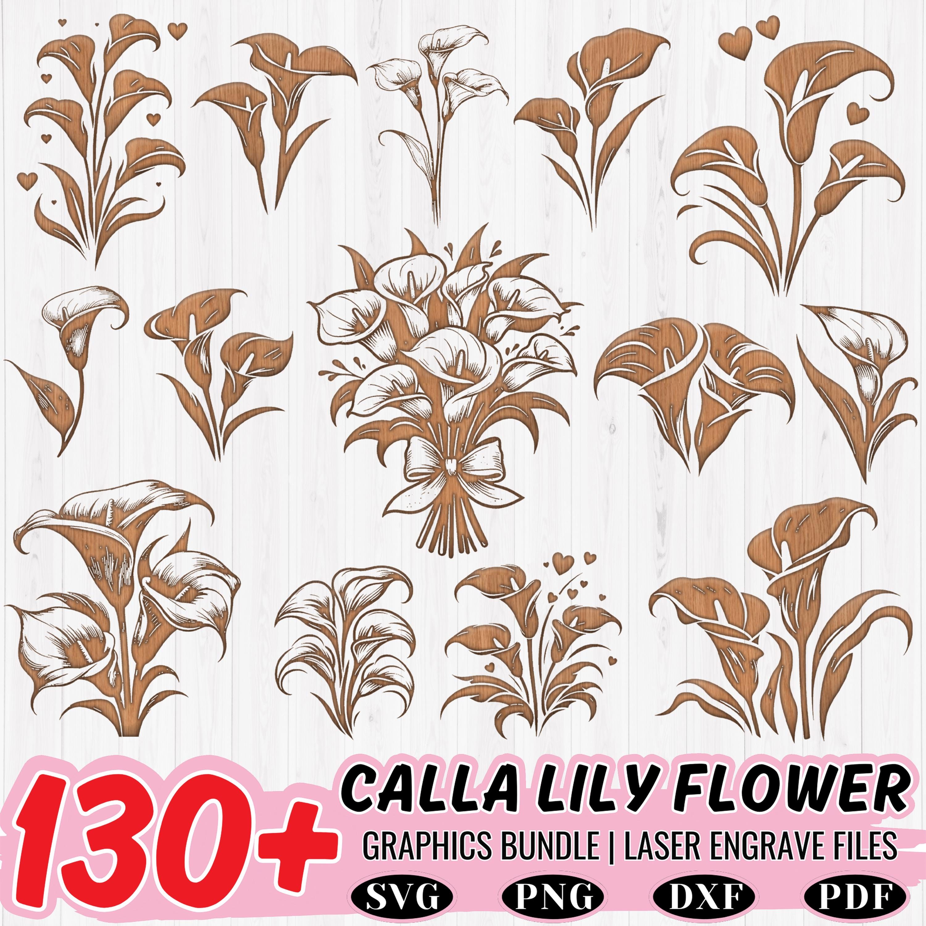 Calla Lily Flower SVG Bundle: Laser Cut Files, Floral Outline (digital ...