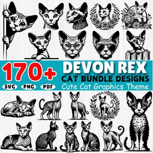 May include: A collection of 170+ black and white vector illustrations of Devon Rex cats in various poses. The text "Devon Rex Cat Bundle Designs" and "Cute Cat Graphics Theme" is displayed on a blue background.