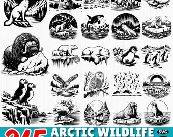 Op de afbeelding: Een verzameling van 215 zwart-wit scènes van de Arctische fauna. De grafische bundel bevat illustraties van dieren zoals wolven, zeehonden, ijsberen, pinguïns, uilen en walvissen. De tekst "Arctic Wildlife Scenes Graphics Bundle" wordt weergegeven.