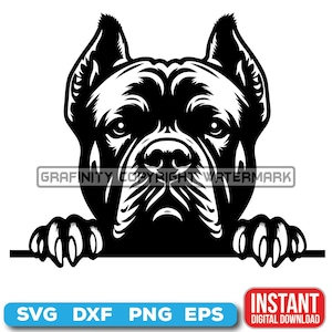 Peeking Dogs SVG, CANE CORSO Peeking Paws, Cute Dog Breed, K-9 Animal, Pet Puppy Canine , Digital download