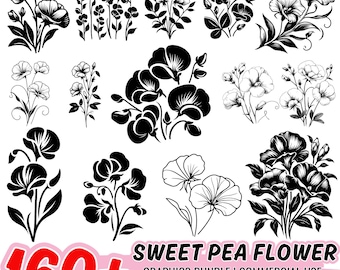 Paquete de imágenes SVG de flores de guisante de olor: imágenes prediseñadas florales, archivos de corte para Cricut (descarga instantánea)