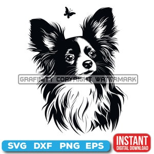 以下が含まれることがあります： 長い垂れ耳の黒いパピヨン犬の白黒のイラスト。犬は右を見ており、頭の上に蝶がいます。