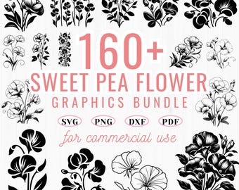 Paquete de imágenes SVG de flores de guisante de olor: imágenes prediseñadas florales, archivos de corte para Cricut (descarga instantánea)