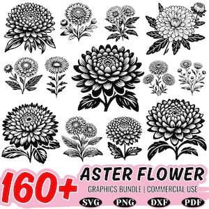 160+ Aster Flower SVG | DXF Bundle | Floral Clipart | Cricut Cut Files | Instant Download | Commercial Use