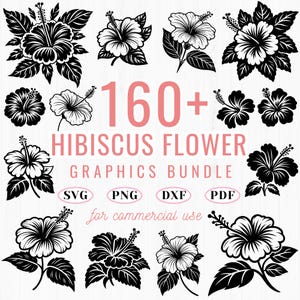 160+ Hibiscus flower svg bundle | tropical floral cut files | cricut dxf png pdf | botanical hibiscus clipart | exotic flower design