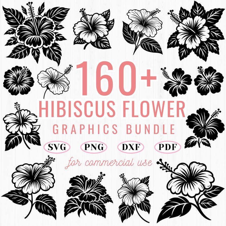160+ Hibiscus Flower SVG Bundle: Tropical Floral Clipart, Bloom Line ...