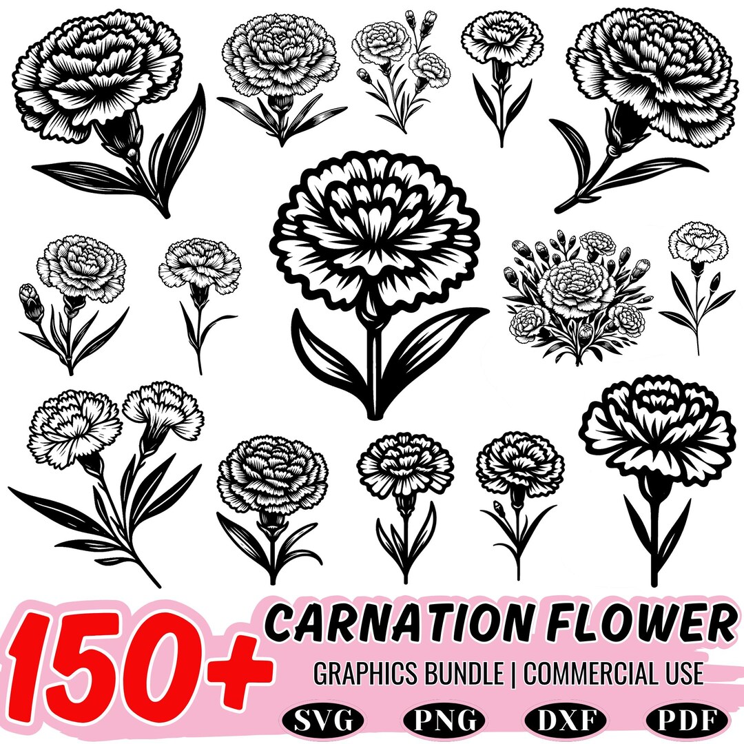 150+ Carnation Flower SVG DXF Bundle: Floral Clipart (commercial Use ...