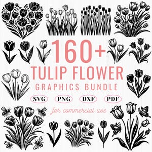 160+ Tulip flower svg bundle | floral line art cut files | cricut dxf png pdf | botanical tulip clipart | elegant flower design