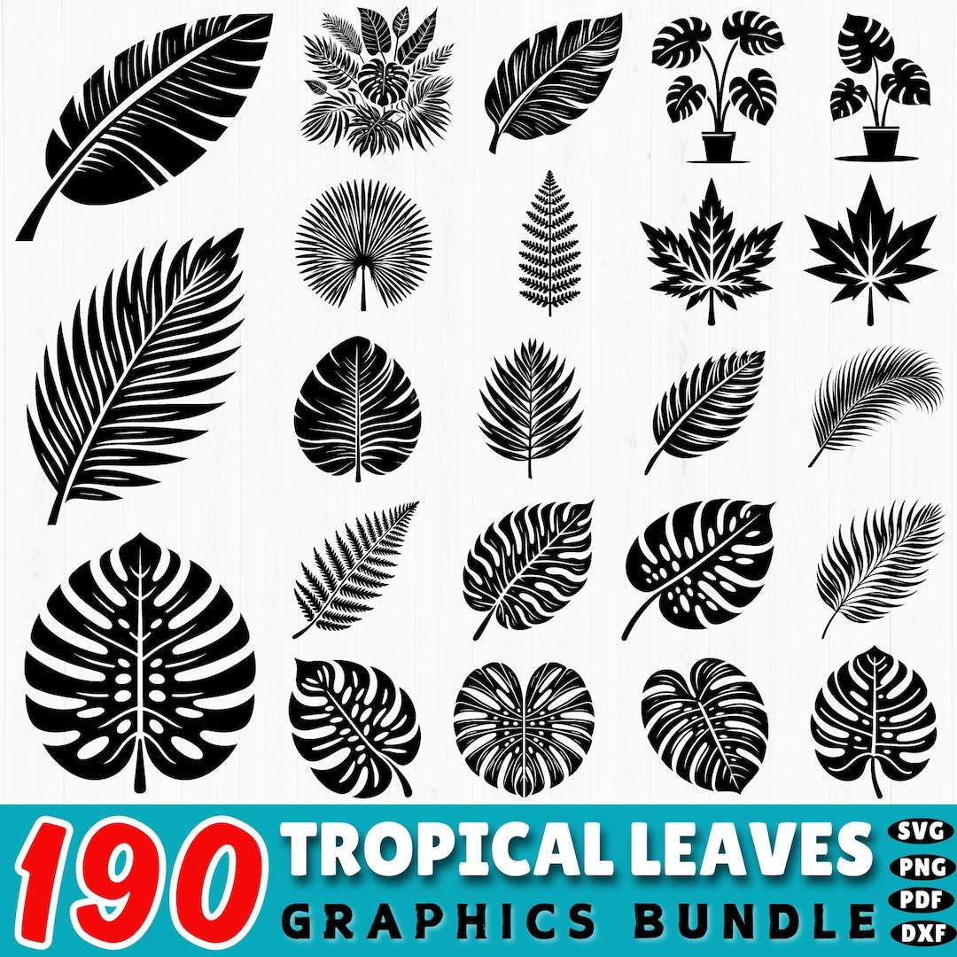 Tropical  FBB　フランス語　黒枠 il_1080xN.6974108425_hjx3.jpg