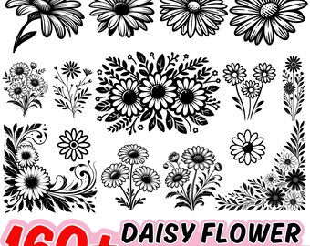 SVG-bundel met meer dan 160 madeliefjes: bloemen clipart, botanische lijntekeningen (commercieel gebruik)
