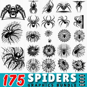 Könnte beinhalten: Eine Sammlung von 175 Spinnen-Grafiken in Schwarz-Weiß, die verschiedene Designs und Posen zeigen, darunter Spinnen auf Netzen und isolierte Motive. Der Text "175 SPIDERS GRAPHICS BUNDLE" ist am unteren Rand des Bildes zu sehen.